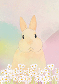 Lapin tendre entour&eacute; de fleurs blanches